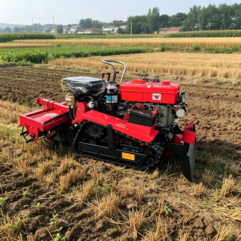Multifunctional Diesel Powered Seat Mounted Small Tracked Rotary Cultivator Farm Tillage Equipment
Multifunctional Diesel Powered Seat Mounted Small Tracked Rotary Cultivator Farm Tillage Equipment