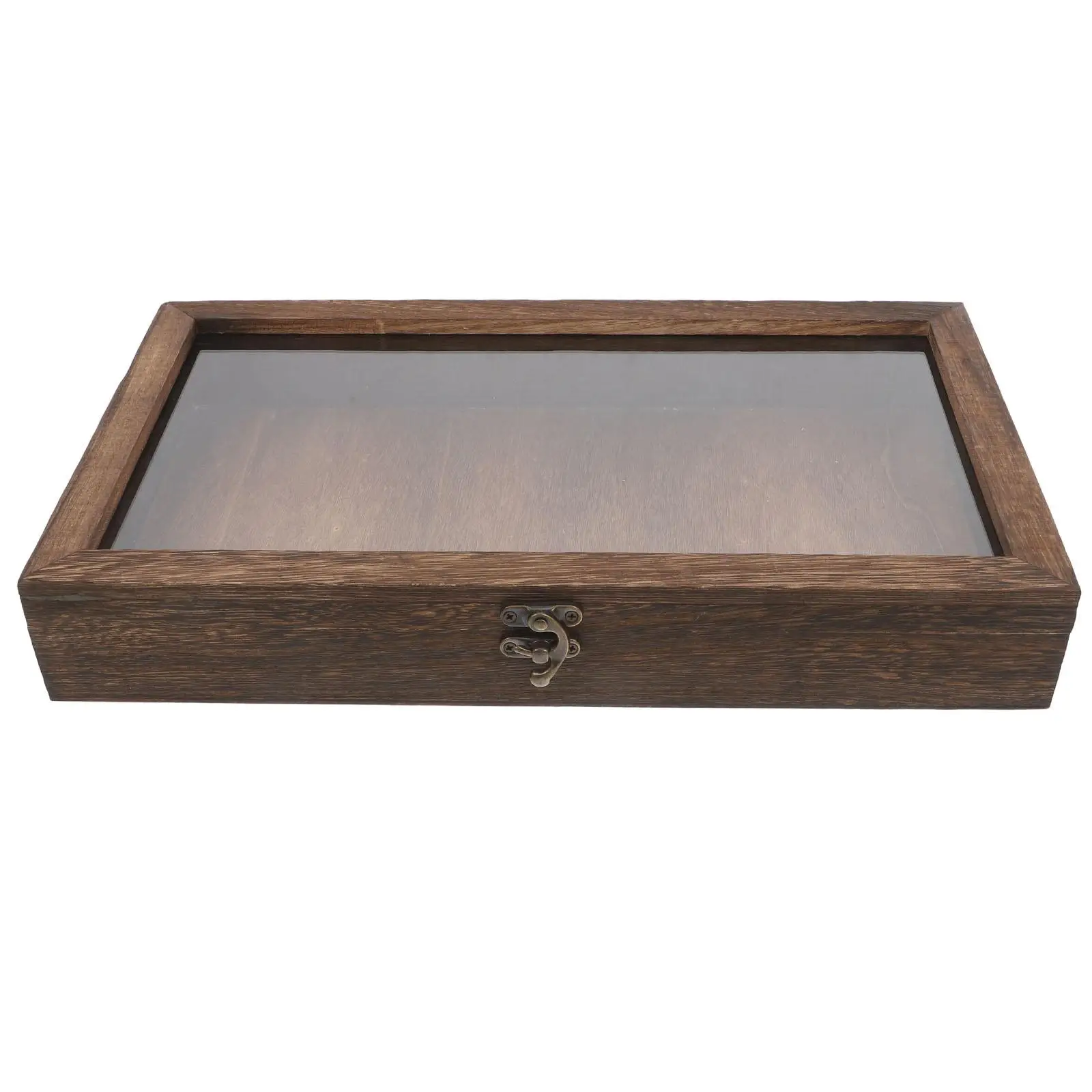 Insect Display Box Butterfly Specimen Storage Case Cases for Collectibles Gem Wooden Rocks
Insect Display Box Butterfly Specimen Storage Case Cases for Collectibles Gem Wooden Rocks