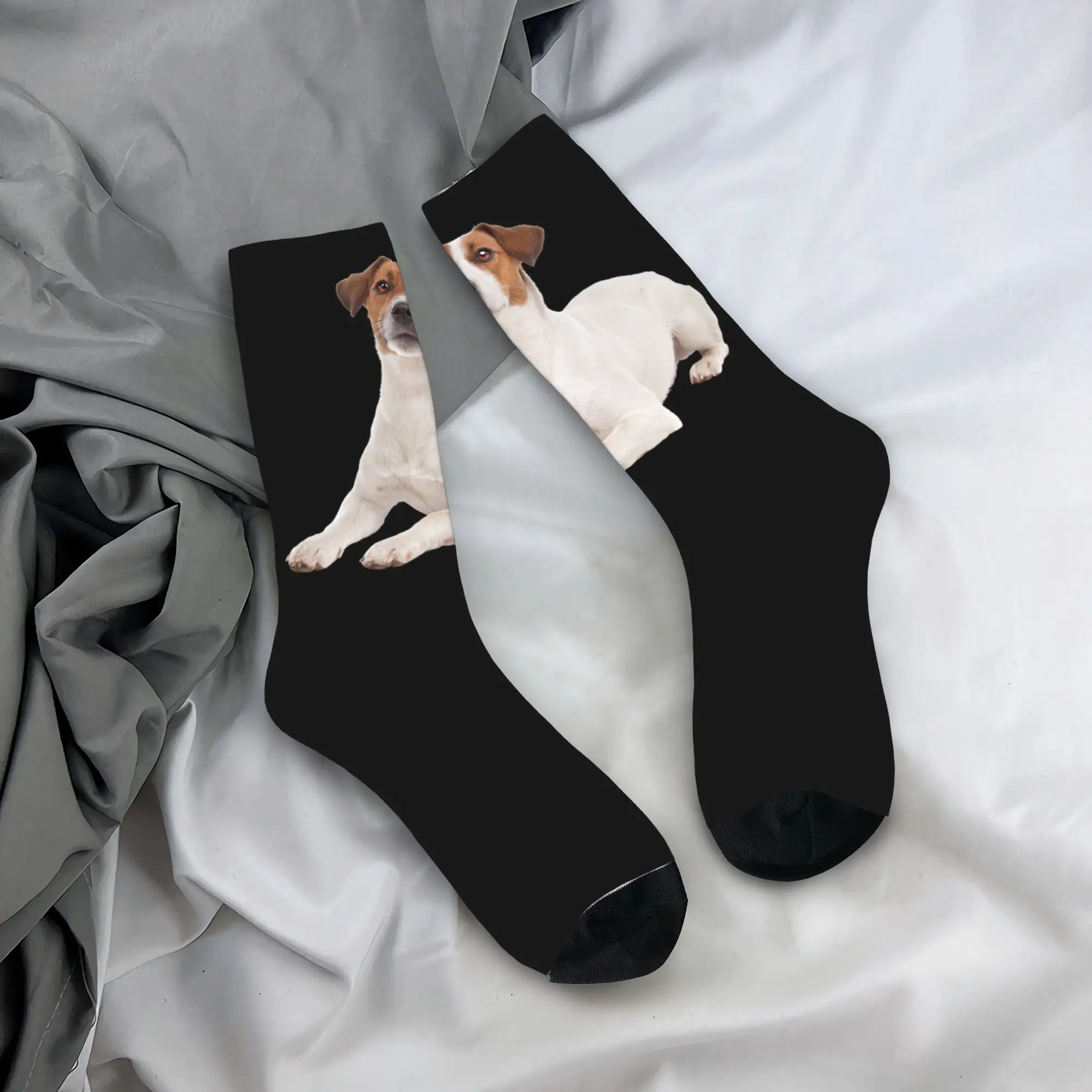 Custom Jack Russell Terrier Dog Mens Crew Socks Unisex Funny 3D Printing Dress Socks
Custom Jack Russell Terrier Dog Mens Crew Socks Unisex Funny 3D Printing Dress Socks