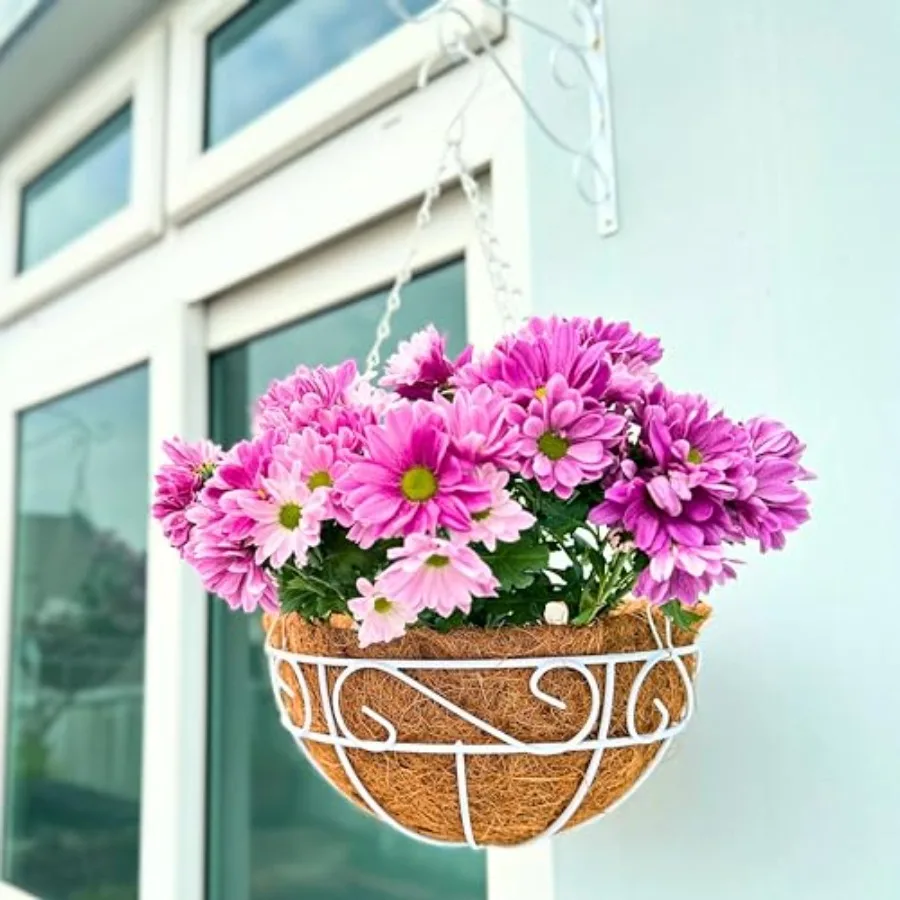 LaLaGreen Hanging Planter for Outdoor Plants 4 Pack, 14 Inch White Hanging Baskets with Coco Liner, Metal Wire Flower Basket Po
LaLaGreen Hanging Planter for Outdoor Plants 4 Pack, 14 Inch White Hanging Baskets with Coco Liner, Metal Wire Flower Basket Po