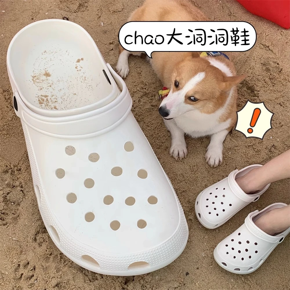 Funny shooting video creative props slippers summer seaside toys large holes shoes kennel cat litter
Funny shooting video creative props slippers summer seaside toys large holes shoes kennel cat litter
