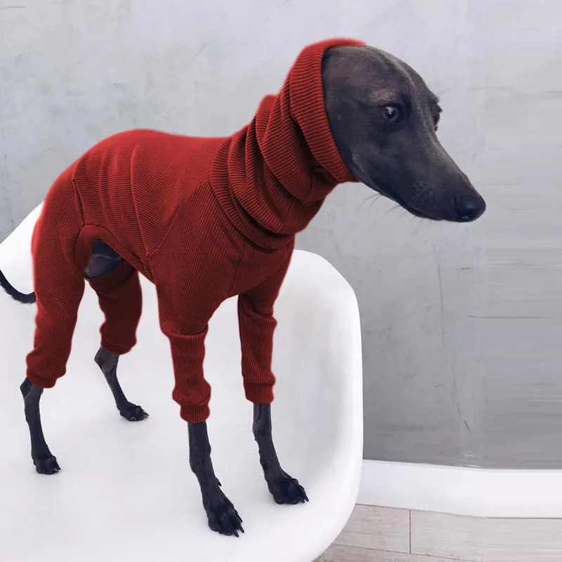 Модная одежда для собак, однотонное вязаное боди в рубчик с высоким воротом, теплый наряд с 4 ножками для маленьких кошек, уютный наряд с 4 ногами для домашних животных
Модная одежда для собак, однотонное вязаное боди в рубчик с высоким воротом, теплый наряд с 4 ножками для маленьких кошек, уютный наряд с 4 ногами для домашних животных