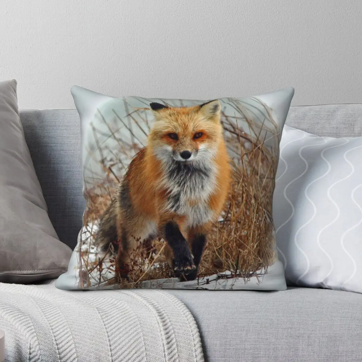Red Fox Wildlife Square Pillowcase Polyester Linen Velvet Printed Zip Decorative Pillow Case Home Cushion Case
Red Fox Wildlife Square Pillowcase Polyester Linen Velvet Printed Zip Decorative Pillow Case Home Cushion Case
