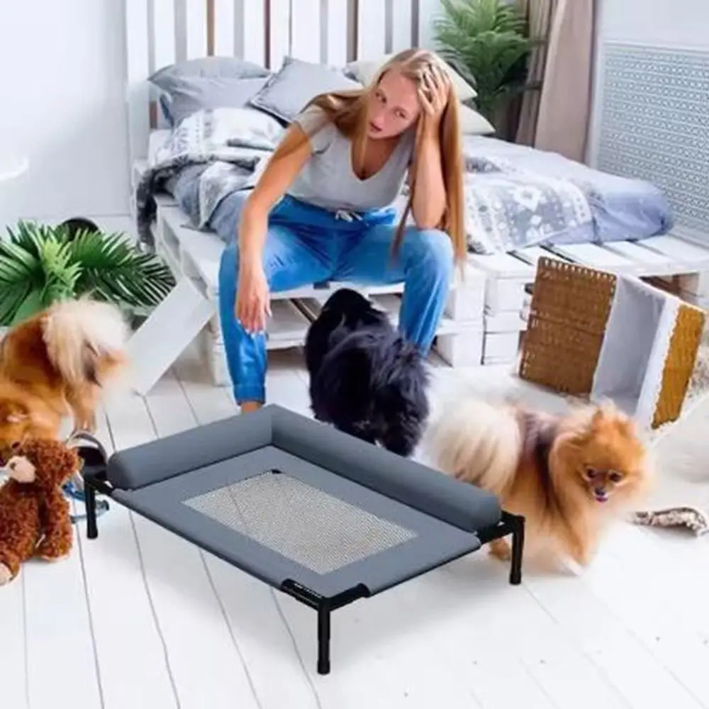 Pet Furniture Mesh Elevated Dog Beds Breathable Removable Raised Dog Bed with Pillow Dog Cots Beds Camping
Pet Furniture Mesh Elevated Dog Beds Breathable Removable Raised Dog Bed with Pillow Dog Cots Beds Camping