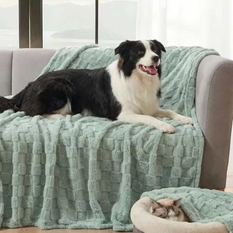 Large Dog Blankets Washable Pet Bed Cover, Soft Fluffy Fuzzy Cat Puppy Blanket with Premium 300GSM Fleece for Pet Kitten Doggy,
Large Dog Blankets Washable Pet Bed Cover, Soft Fluffy Fuzzy Cat Puppy Blanket with Premium 300GSM Fleece for Pet Kitten Doggy,
