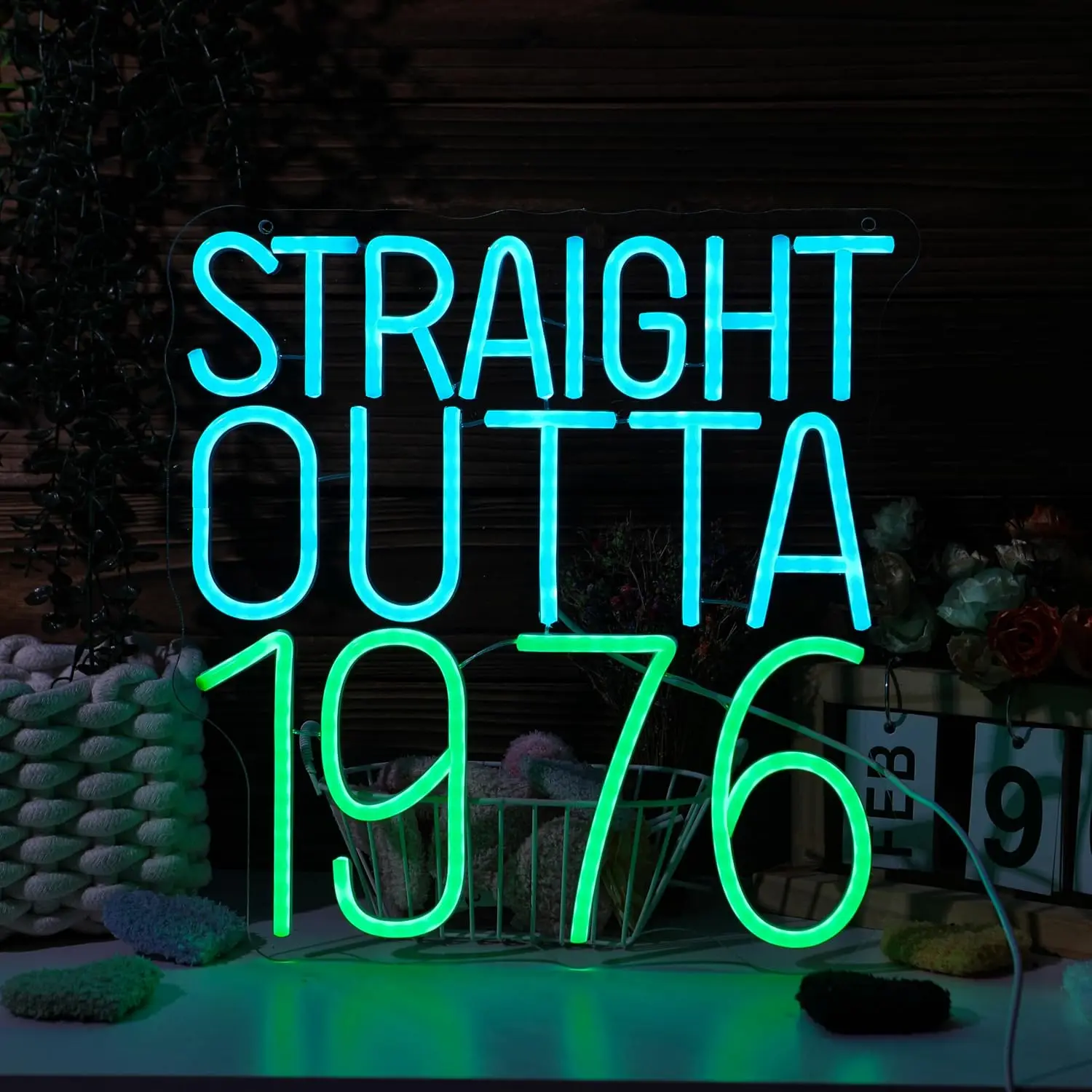 Straight Outta 1976 Neon Sign USB Powered LED Neon Light for Party Bar Gaming Room Bedroom Decoration Gift Art Wall Light
Straight Outta 1976 Neon Sign USB Powered LED Neon Light for Party Bar Gaming Room Bedroom Decoration Gift Art Wall Light