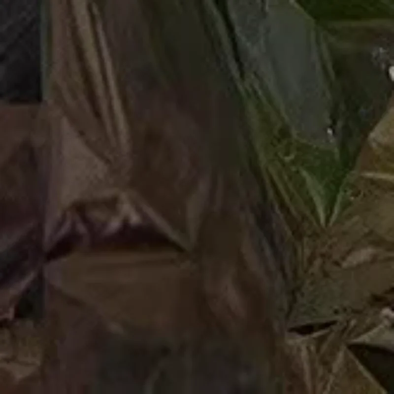 5/10Pcs 130X210CM Outdoor Emergency Survival Blanket Waterproof First Aid Rescue Curtain Foil Thermal Blanket For Camping
5/10Pcs 130X210CM Outdoor Emergency Survival Blanket Waterproof First Aid Rescue Curtain Foil Thermal Blanket For Camping