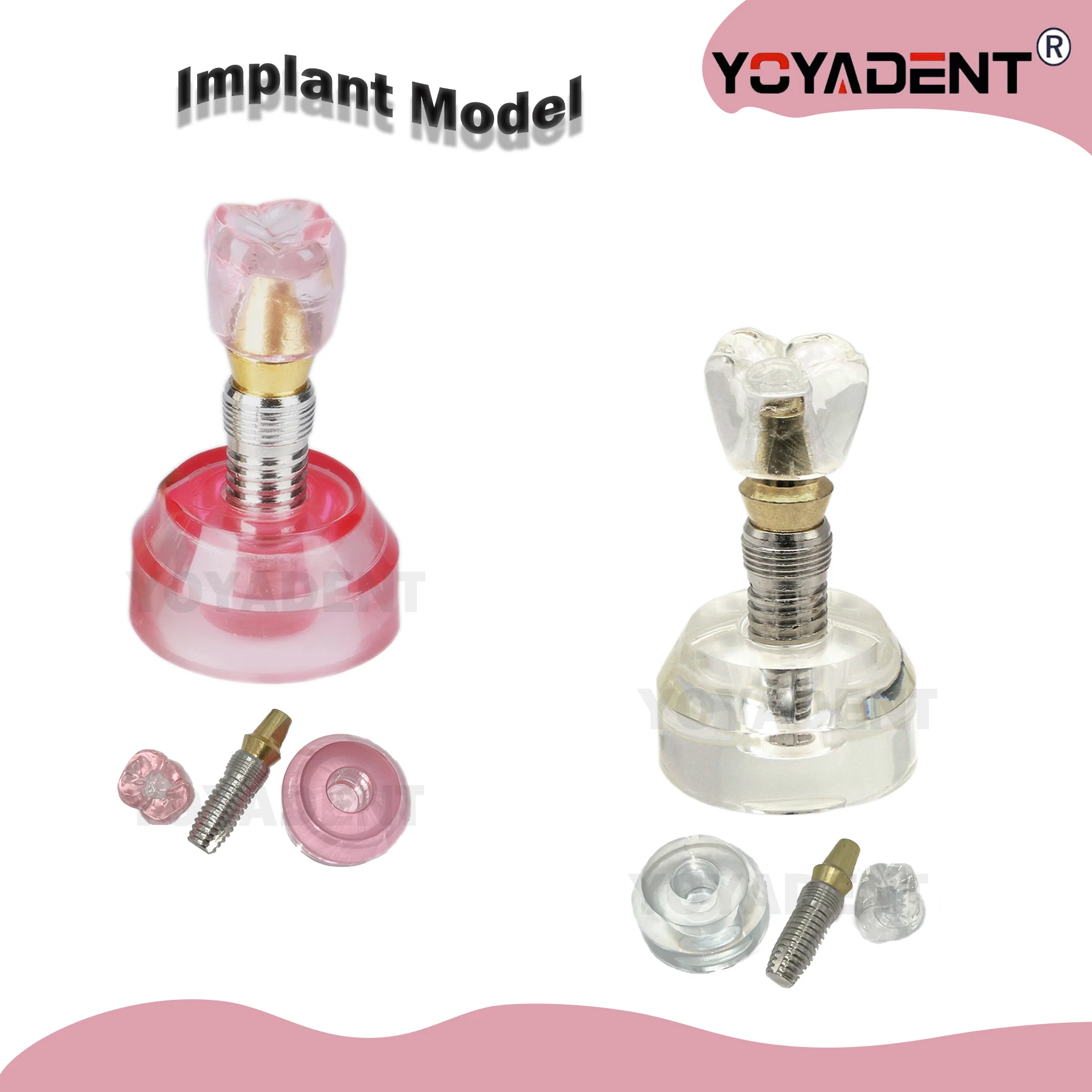 Стоматологическая модель Съемный зубной имплантат Модель Строка Стоматолог Демо Учеба Пацієнт Образование Увеличить Прозрачный Стоматолог Демо
Стоматологическая модель Съемный зубной имплантат Модель Строка Стоматолог Демо Учеба Пацієнт Образование Увеличить Прозрачный Стоматолог Демо