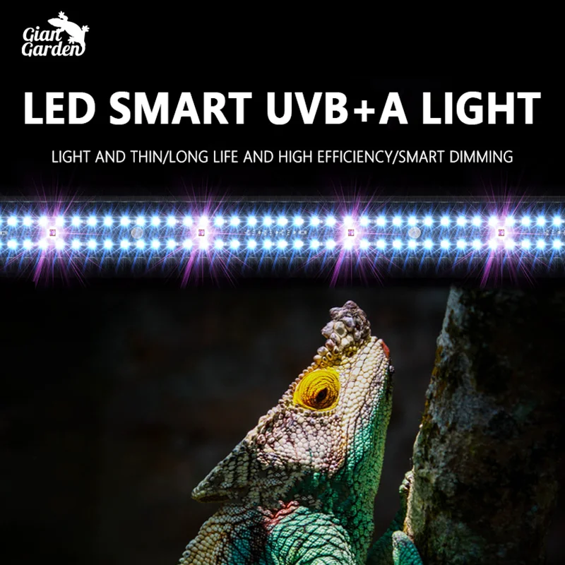 Reptile Full Spectrum LED Light Lizard UVB+UVA Lamp Intelligent Turtle Basking Light Super Slim Heating Lamp for Amphibians
Reptile Full Spectrum LED Light Lizard UVB+UVA Lamp Intelligent Turtle Basking Light Super Slim Heating Lamp for Amphibians