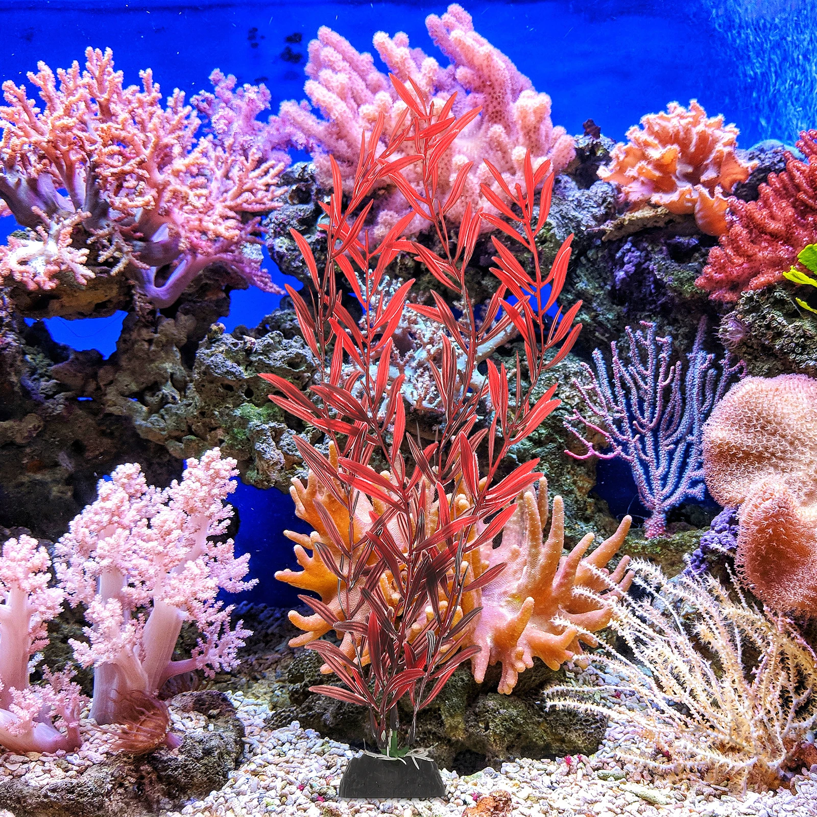 10 Pcs Aquatic Decoration Fish Tank Plants Betta Accessories Aquarium Water Grass Decorations Fake for Plastic
10 Pcs Aquatic Decoration Fish Tank Plants Betta Accessories Aquarium Water Grass Decorations Fake for Plastic