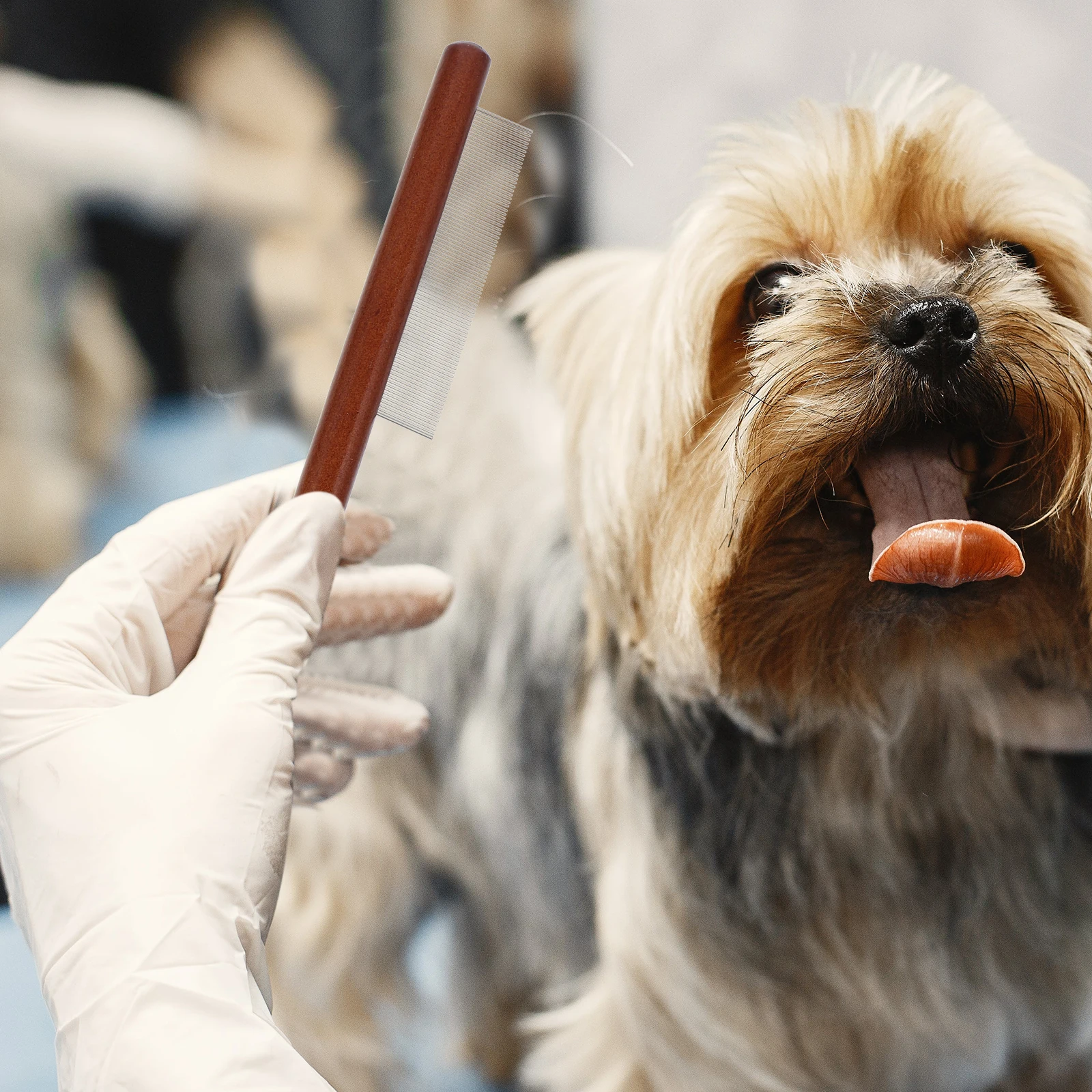 3pcs Pet Comb Wooden Handle Stainless Steel Teeth For Dogs Cats Flea Removal Dematting Grooming Tool Portable Durable Cat Combs
3pcs Pet Comb Wooden Handle Stainless Steel Teeth For Dogs Cats Flea Removal Dematting Grooming Tool Portable Durable Cat Combs