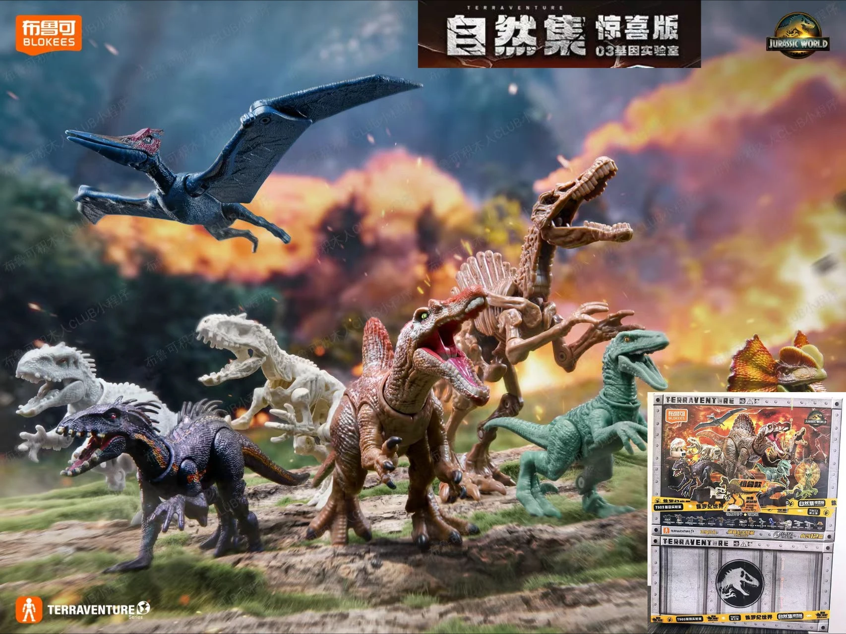 Blokees Jurassic World 3rd Series Dinosaur Building Blocks Blind Box T-Rex Simulated Model Movable Joints Toy Gift Collectible
Blokees Jurassic World 3rd Series Dinosaur Building Blocks Blind Box T-Rex Simulated Model Movable Joints Toy Gift Collectible