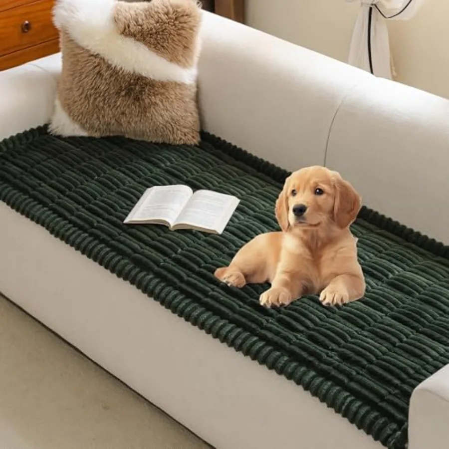 Couch Covers for 3-4 Cushion Sofa Pet Friendly Couch Cover for Dogs Sofa Covers for Pets Washable Soft Non-Slip Sofa Slipcovers
Couch Covers for 3-4 Cushion Sofa Pet Friendly Couch Cover for Dogs Sofa Covers for Pets Washable Soft Non-Slip Sofa Slipcovers