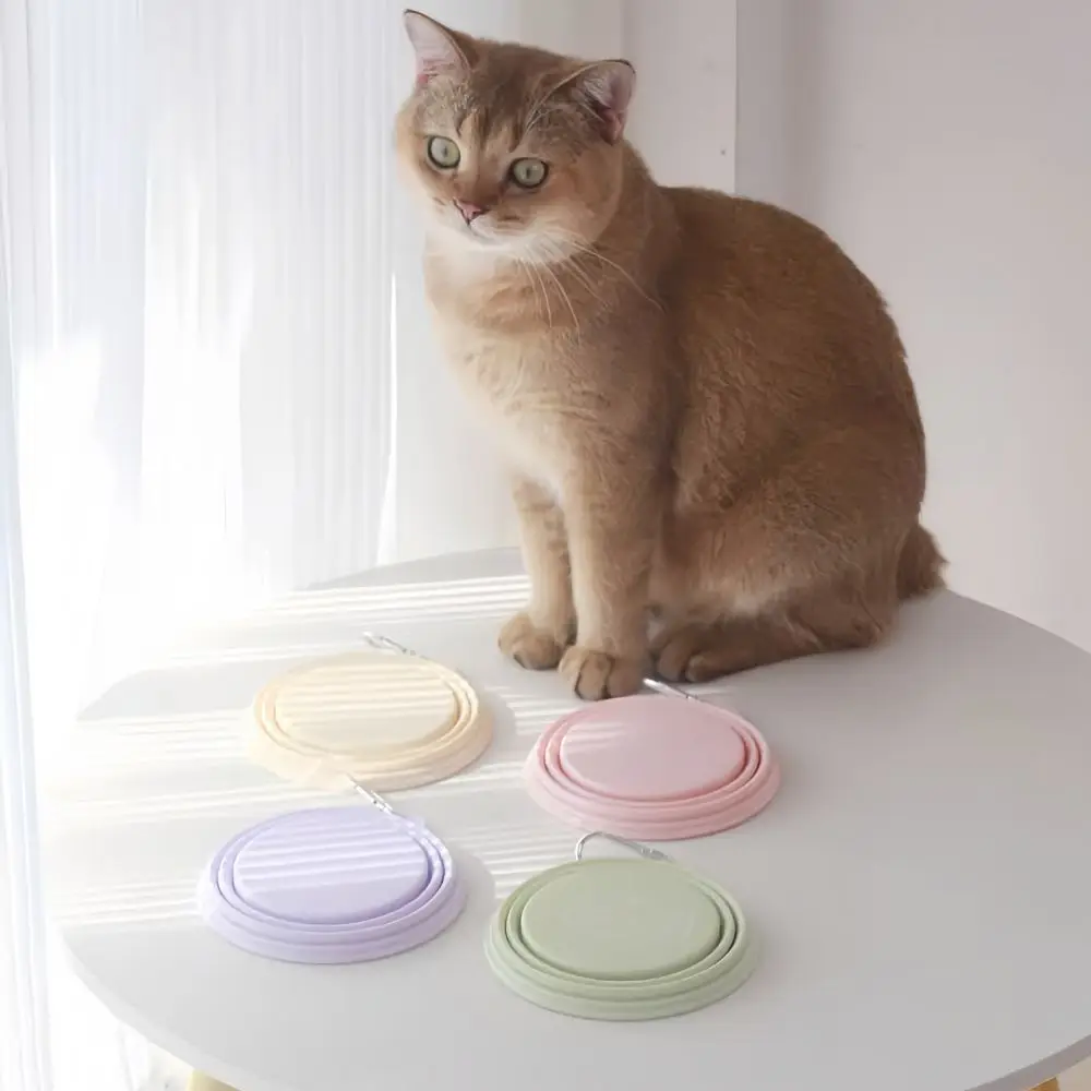 350ml Macaron Pet Bowl Cartoon Pattern TPE Portable Pet Bowl with Hanging Holes Collapsible Travel Pet Bowl Pet Feeding
350ml Macaron Pet Bowl Cartoon Pattern TPE Portable Pet Bowl with Hanging Holes Collapsible Travel Pet Bowl Pet Feeding