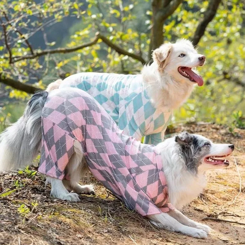 Dog Four-Legged Clothes Cool Thin Summer Large Dog Outdoor Home Wear Breathable Anti-Hair
Dog Four-Legged Clothes Cool Thin Summer Large Dog Outdoor Home Wear Breathable Anti-Hair