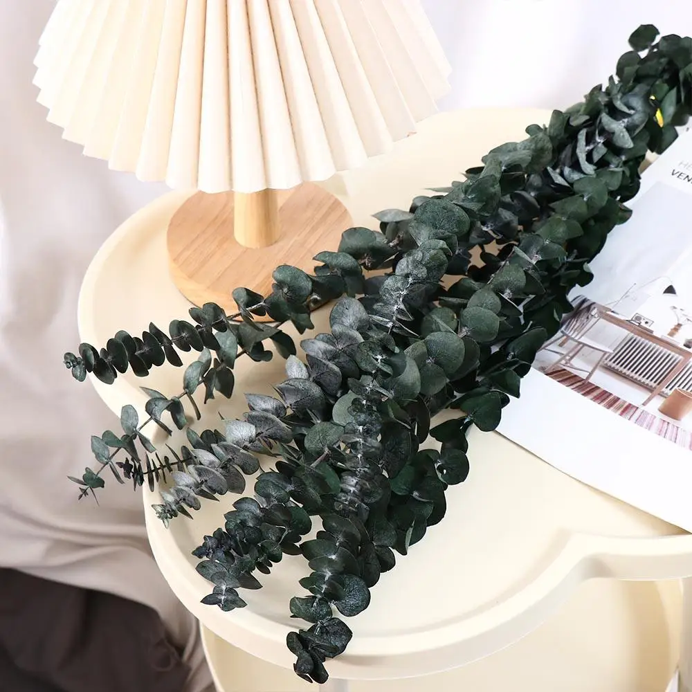 10 Pcs Real Leaves Hanging Dried Eucalyptus 22 inch Green Artificial Plants Flowers Multi-Purpose Large Home Decoration Wedding
10 Pcs Real Leaves Hanging Dried Eucalyptus 22 inch Green Artificial Plants Flowers Multi-Purpose Large Home Decoration Wedding