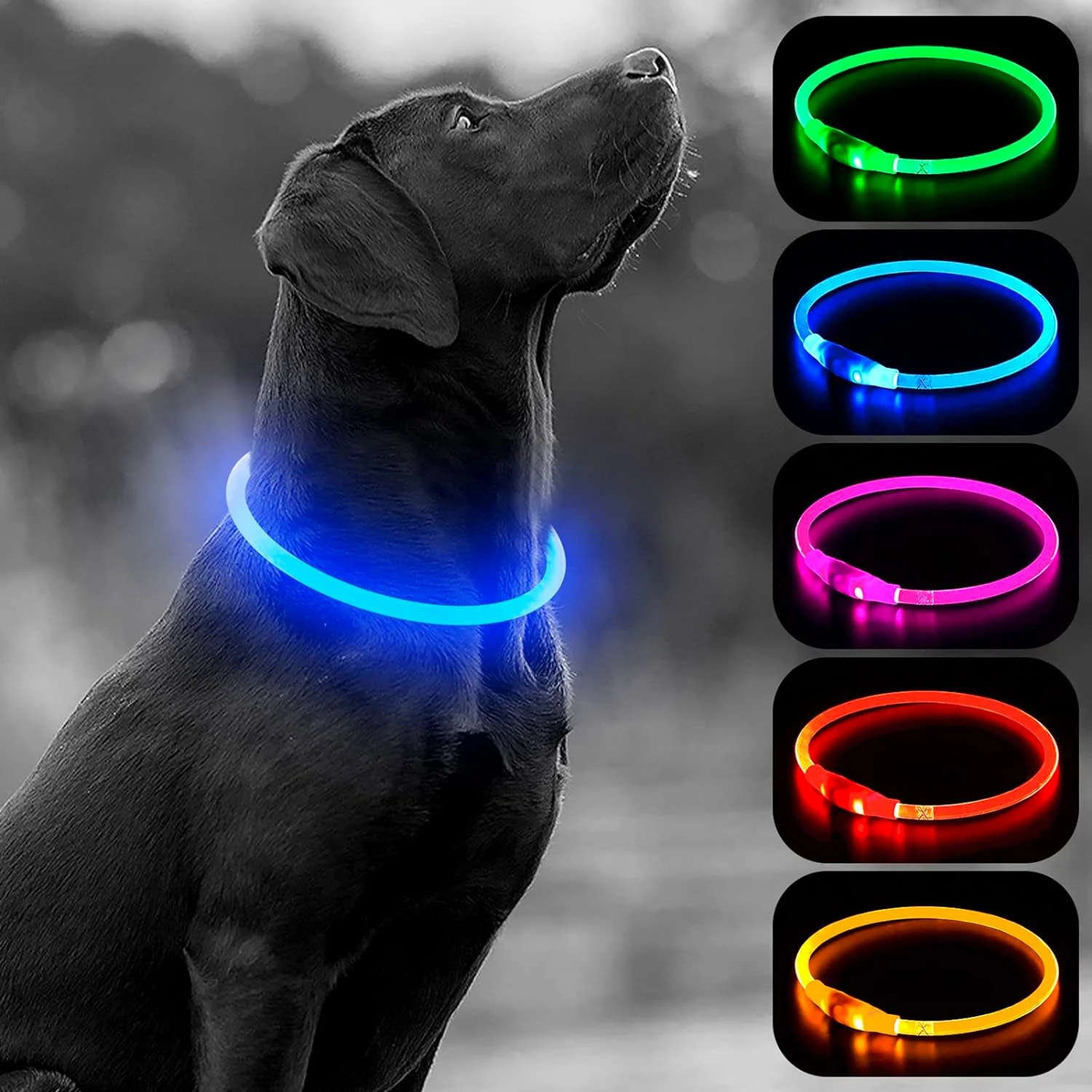 y visible and fashionable while keeping their beloved pet safe in the dark. This vibrant and durable LED collar is designed for
y visible and fashionable while keeping their beloved pet safe in the dark. This vibrant and durable LED collar is designed for