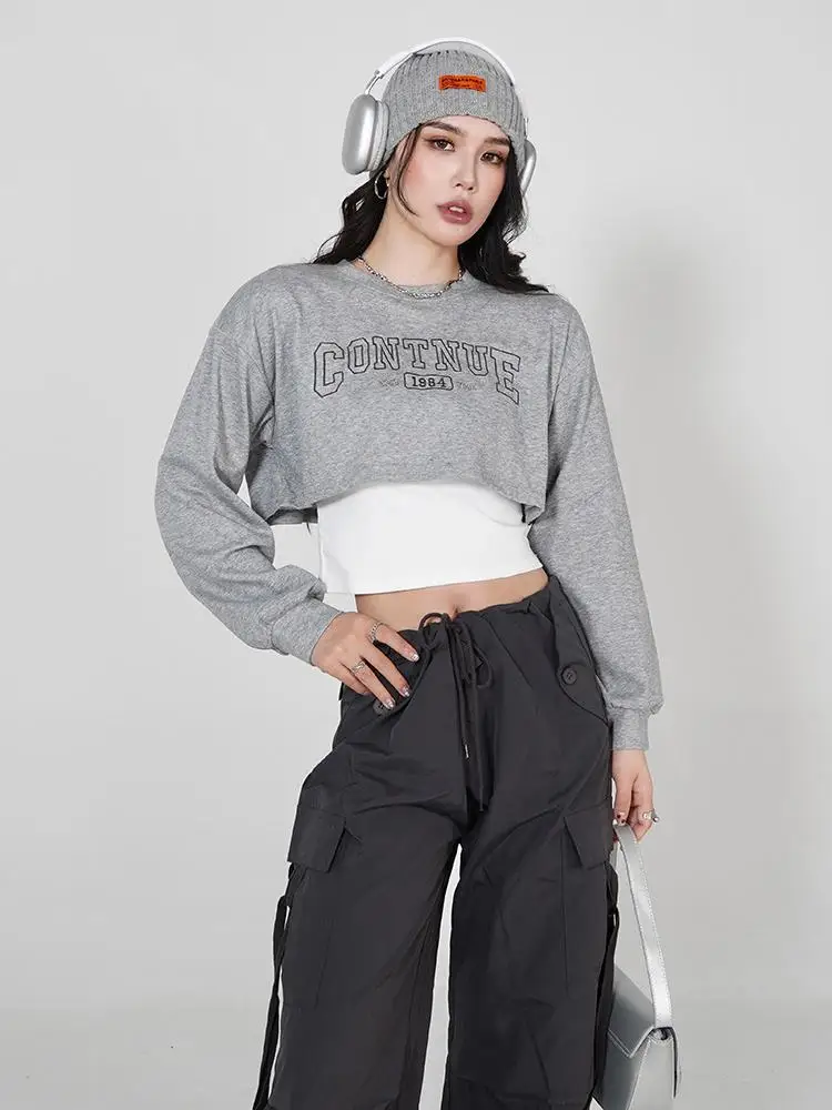Gray Long Sleeve Short Hoodie Women's Set Tank Top Two Piece Set Spring Autumn American College Style Layering Outfit
Gray Long Sleeve Short Hoodie Women's Set Tank Top Two Piece Set Spring Autumn American College Style Layering Outfit