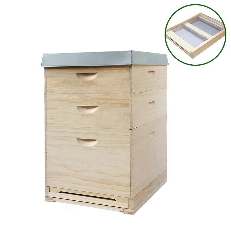 Factory Supply Dadant Langstroth Beehive Wooden Honey Bee Hive Box 10 Frame Beekeeping Equipment for Sale
Factory Supply Dadant Langstroth Beehive Wooden Honey Bee Hive Box 10 Frame Beekeeping Equipment for Sale