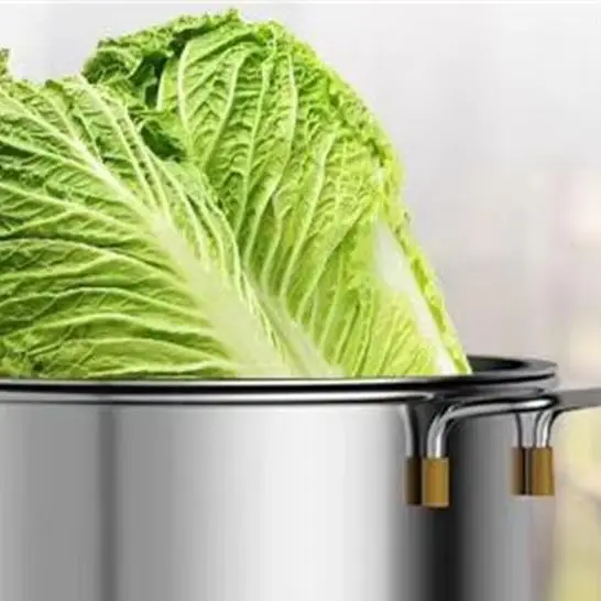 Stainless Steel Electric Chicken Duck Goose Breeding Green Feed Grinder Vegetable Shredder Machine
Stainless Steel Electric Chicken Duck Goose Breeding Green Feed Grinder Vegetable Shredder Machine