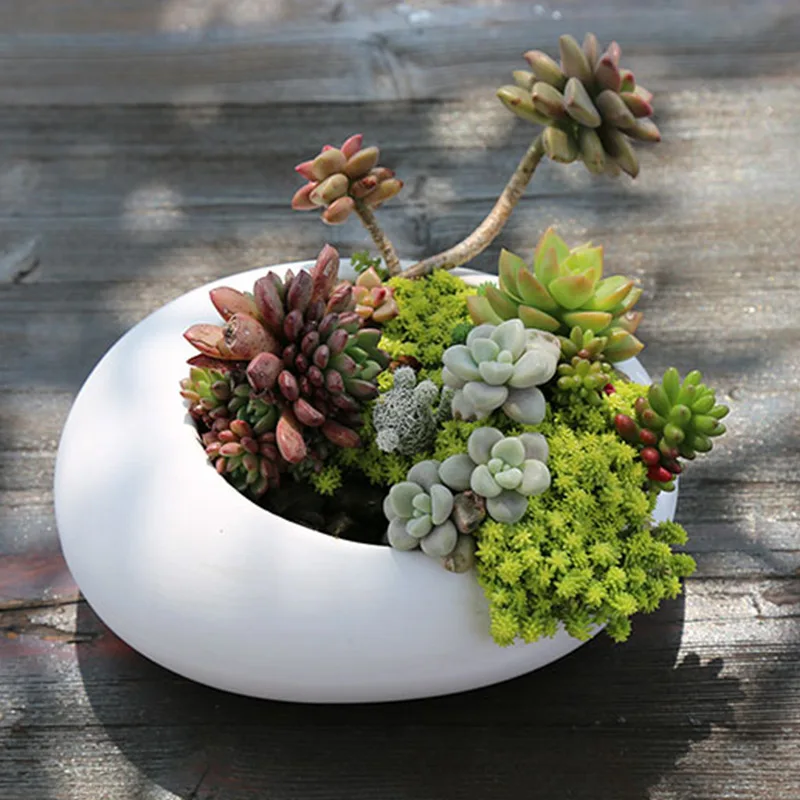 Ceramic Flowerpots For Succulent Home Garden Desktop Decoration Succulent Pots Stand Flower Pot Fashion Chinese Style Bonsai Pot
Ceramic Flowerpots For Succulent Home Garden Desktop Decoration Succulent Pots Stand Flower Pot Fashion Chinese Style Bonsai Pot
