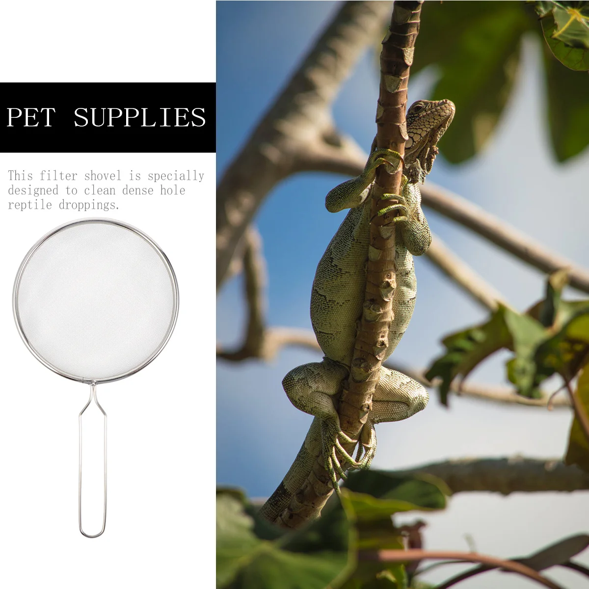 Professional Reptile Sand Shovel Stainless Steel Filter Shovel Durable Easy Clean Tool for Reptile Supplies and Sand Filter Mesh
Professional Reptile Sand Shovel Stainless Steel Filter Shovel Durable Easy Clean Tool for Reptile Supplies and Sand Filter Mesh