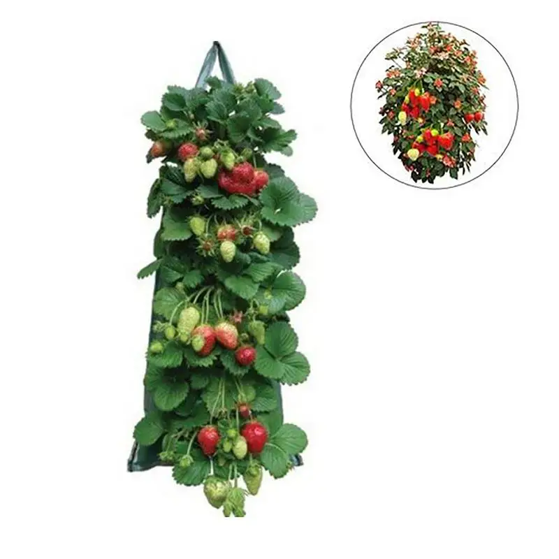 Garden Potato Grow Bags Fabric Hanging Plant Potato Grow Bags Garden Accessories For Tomato Vegetables And Fruits
Garden Potato Grow Bags Fabric Hanging Plant Potato Grow Bags Garden Accessories For Tomato Vegetables And Fruits