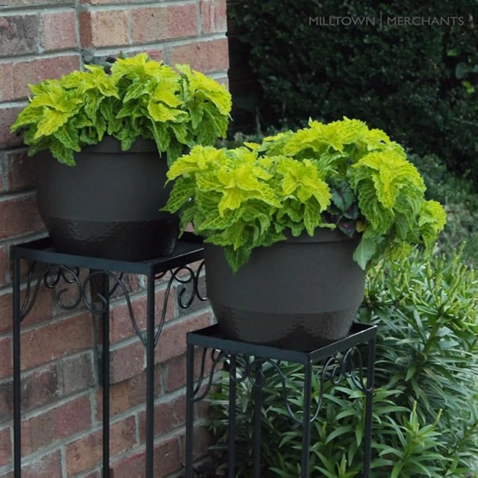 ™ Plant Stands - Set o 3 Metal Plant Stands - Indoor/Outdoor Nesting Wrought Iron End Tables - Square Black lower Stands
™ Plant Stands - Set o 3 Metal Plant Stands - Indoor/Outdoor Nesting Wrought Iron End Tables - Square Black lower Stands