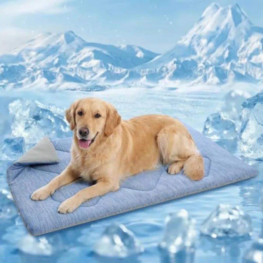 Dog Cooling Mat for Dog, Portable Flat Pet Bed for Dogs and Cats, Non-Slip Summer Pet Sleeping Mat, Machine Washable, Dogs Cool
Dog Cooling Mat for Dog, Portable Flat Pet Bed for Dogs and Cats, Non-Slip Summer Pet Sleeping Mat, Machine Washable, Dogs Cool