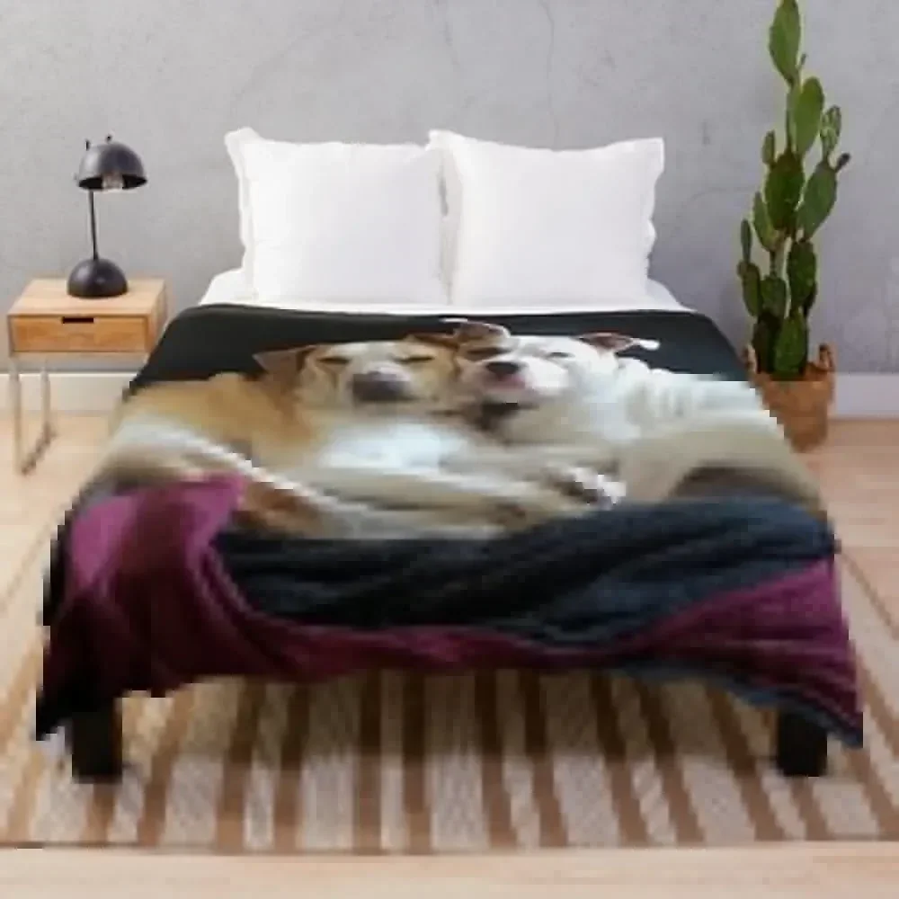 Puppy Love (Photography) Throw Blanket Long Lasting Soft Plush Blanket for Daily Use
Puppy Love (Photography) Throw Blanket Long Lasting Soft Plush Blanket for Daily Use