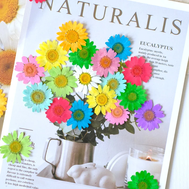 50Pcs Colorful White Crystal Chrysanthemum Daisy Dried Flowers Pressed Flowers DIY Handmade Pressed Flower Plant Specimens Resin Real Flower Decoration Phone Case
50Pcs Colorful White Crystal Chrysanthemum Daisy Dried Flowers Pressed Flowers DIY Handmade Pressed Flower Plant Specimens Resin Real Flower Decoration Phone Case