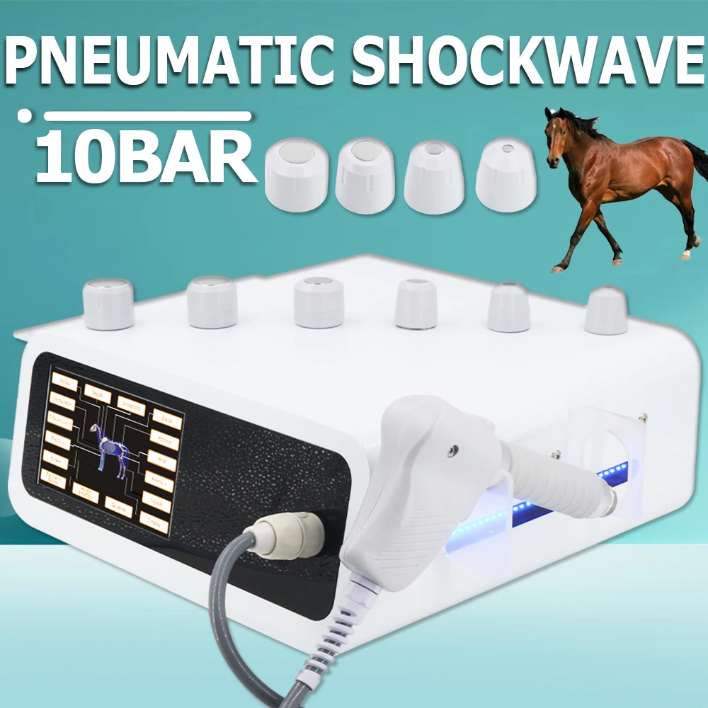 10Bar Pneumatic Shockwave Therapy Machine For Horse Animals Pain Relief Muscle Massage Relaxation Hot Sale Professional Massager
10Bar Pneumatic Shockwave Therapy Machine For Horse Animals Pain Relief Muscle Massage Relaxation Hot Sale Professional Massager