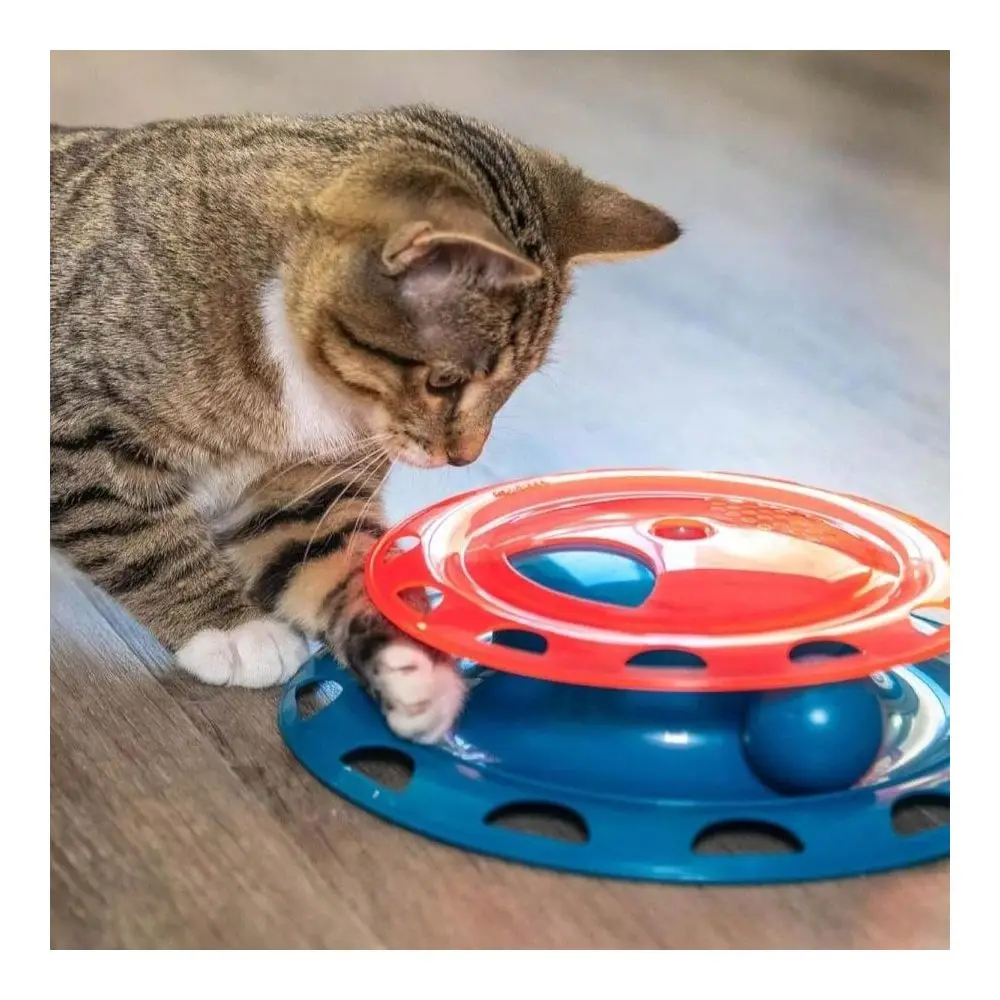 Catnip Chaser Track U2013 Interactive Cat Toy With Catnip For Batting, Swatting, And Mental Stimulation, Green
Catnip Chaser Track U2013 Interactive Cat Toy With Catnip For Batting, Swatting, And Mental Stimulation, Green