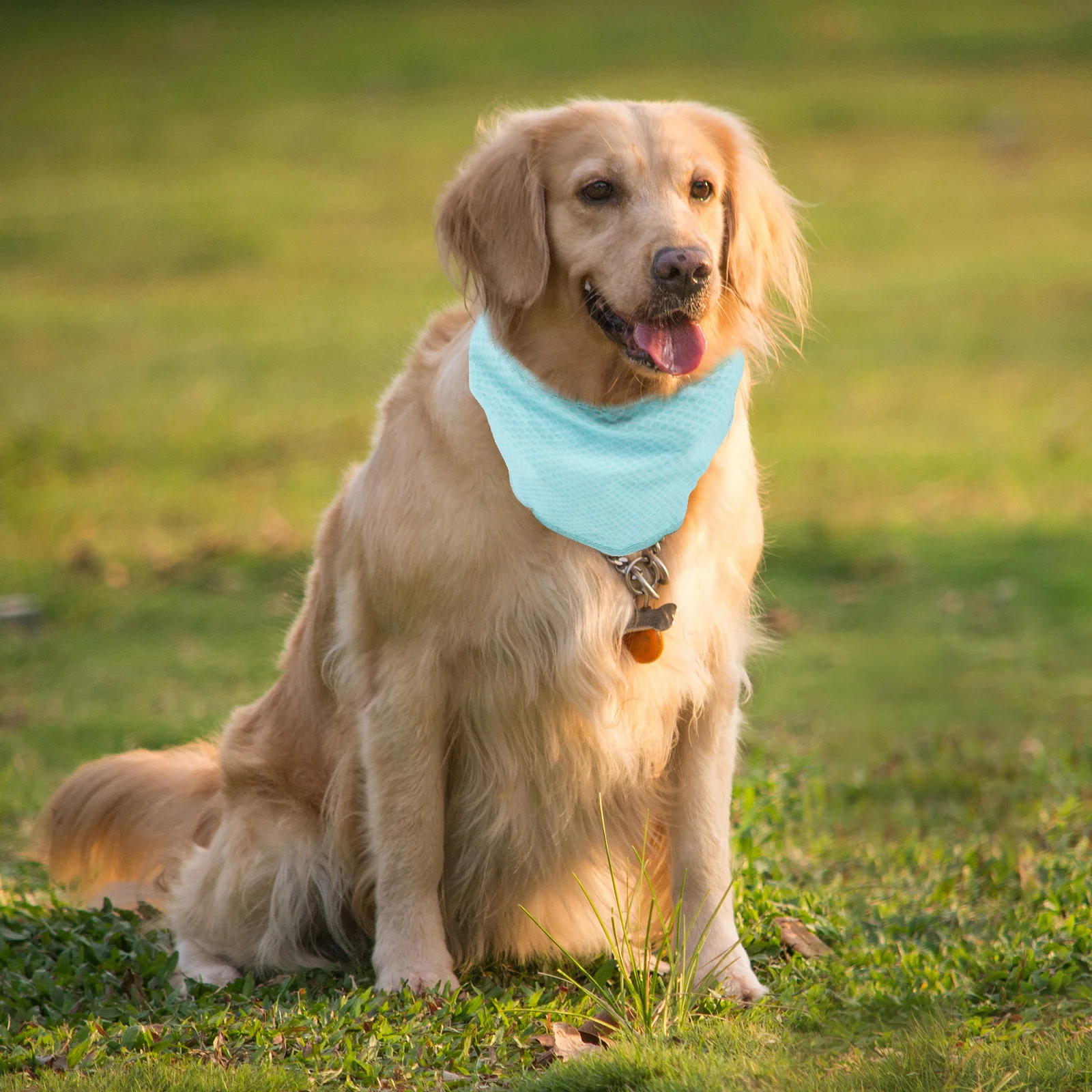 Pet Cooling Scarf Cool Dog Collars Adjustable Summer Neck Wear Durable Heat Resistant Cooling Effect Cool Dog Collars
Pet Cooling Scarf Cool Dog Collars Adjustable Summer Neck Wear Durable Heat Resistant Cooling Effect Cool Dog Collars