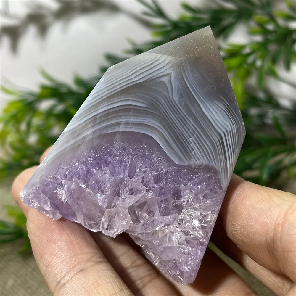Amethyst Free Form Cluster Crystal Natural Stone Quartz Reiki Healing Mineral Specimen Home Room Decoration Gift Energy
Amethyst Free Form Cluster Crystal Natural Stone Quartz Reiki Healing Mineral Specimen Home Room Decoration Gift Energy