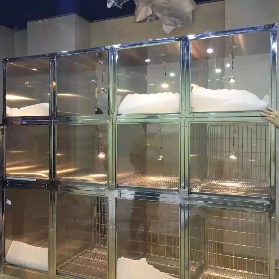 steel glass tempered glass jaulas para mascotas stainless steel dog kennel cage veterinary cages
steel glass tempered glass jaulas para mascotas stainless steel dog kennel cage veterinary cages