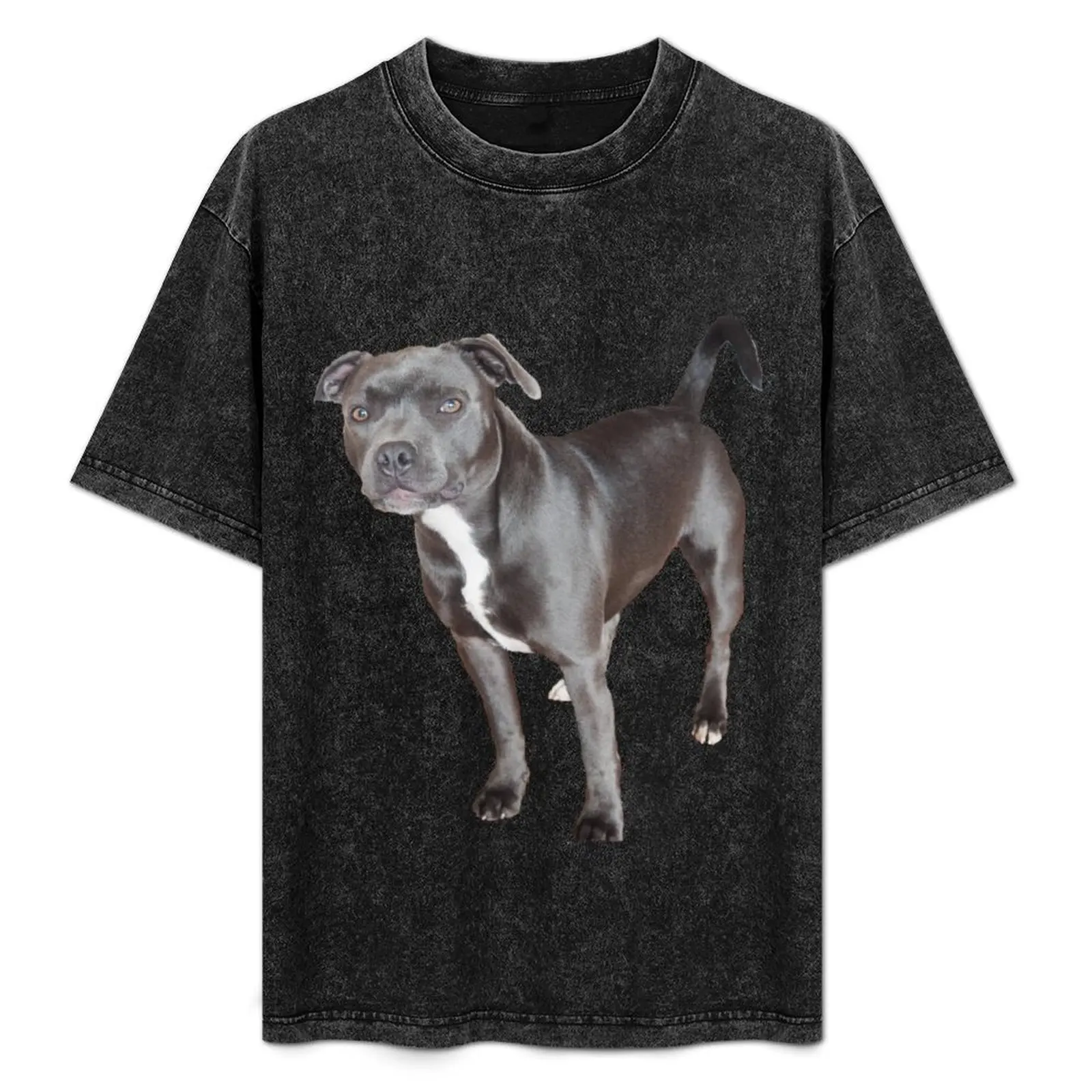 Classic standing staffy T-Shirt Casual Loose Daily Wear T-Shirt
Classic standing staffy T-Shirt Casual Loose Daily Wear T-Shirt
