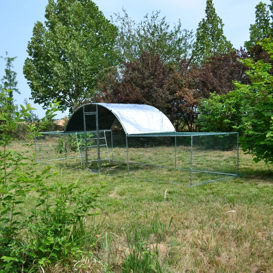 Modern Classic Outdoor Metal Chicken Shed Custom Pet Houses Furniture Excellent Quality Iron Triangle Shape Sustainable Birds
Modern Classic Outdoor Metal Chicken Shed Custom Pet Houses Furniture Excellent Quality Iron Triangle Shape Sustainable Birds