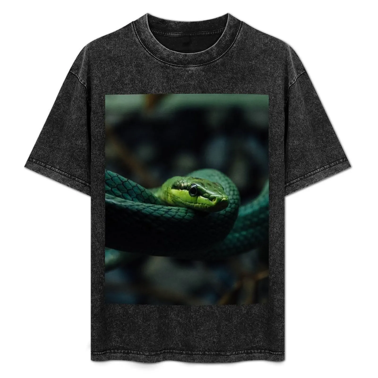Snake T-Shirt Soft Lightweight Cotton T-Shirt
Snake T-Shirt Soft Lightweight Cotton T-Shirt