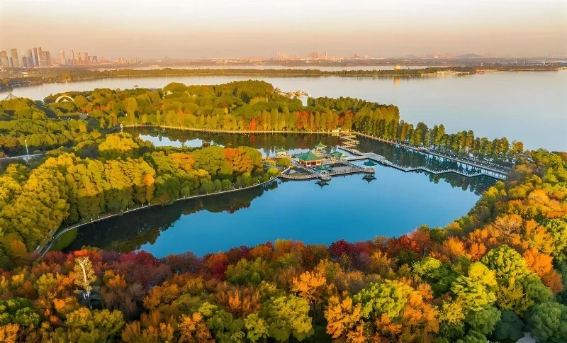 4x For Renault Captur 2013-2020 Accessories Auto Mudflap Fender Mudguard Mud Flaps Guard Splash Car Accessories
4x For Renault Captur 2013-2020 Accessories Auto Mudflap Fender Mudguard Mud Flaps Guard Splash Car Accessories