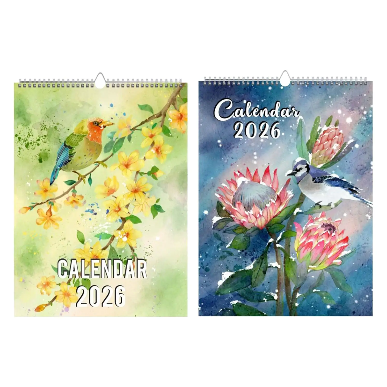 2026 Exotic Birds Calendar 12 Month Planning Scheduling English Wall Calendar Artistic Design Nature Lovers Collection Calendar
2026 Exotic Birds Calendar 12 Month Planning Scheduling English Wall Calendar Artistic Design Nature Lovers Collection Calendar
