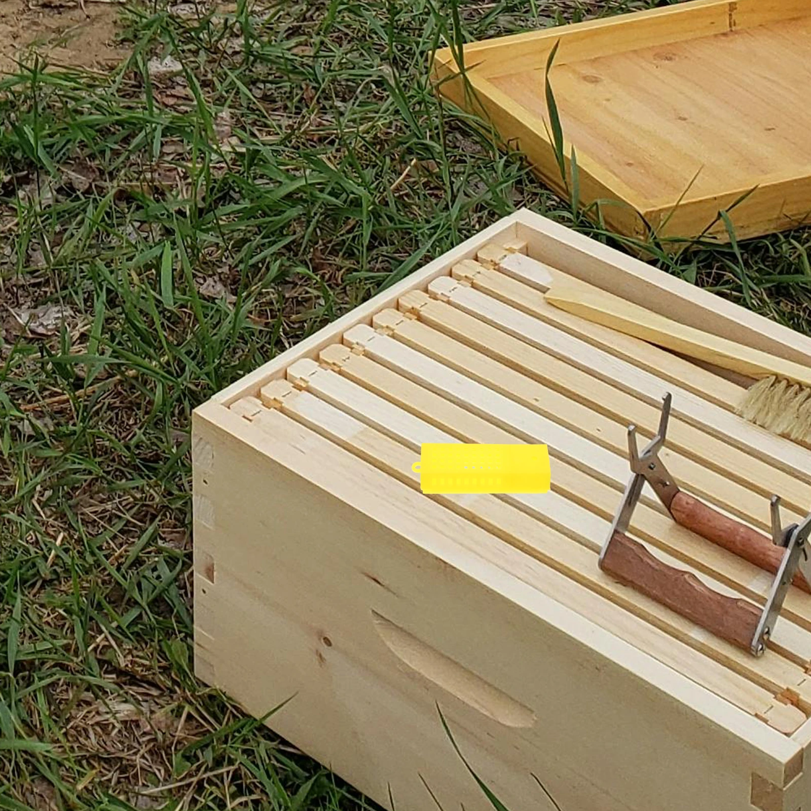 10 Pcs Beehive Beekeeping Cell Cage Suite Incubation Bases Plastic Equipment Cups Rearing Boxes
10 Pcs Beehive Beekeeping Cell Cage Suite Incubation Bases Plastic Equipment Cups Rearing Boxes
