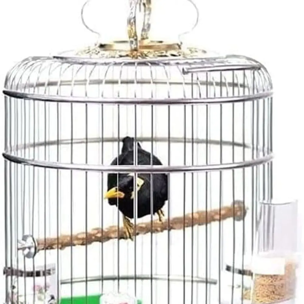 Портативная дорожная птичья клетка из нержавеющей стали с подставкой на колесиках и птичьим домиком для новинок и комфорта
Портативная дорожная птичья клетка из нержавеющей стали с подставкой на колесиках и птичьим домиком для новинок и комфорта