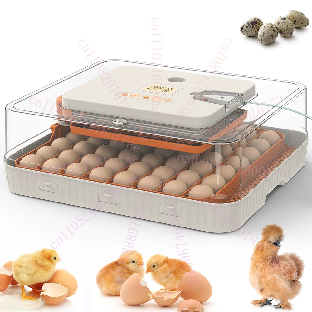 High Hatching Rate 50 56 Dual Power Egg Incubator Fully Automatic With Temperature and Humidity Control for Sale
High Hatching Rate 50 56 Dual Power Egg Incubator Fully Automatic With Temperature and Humidity Control for Sale