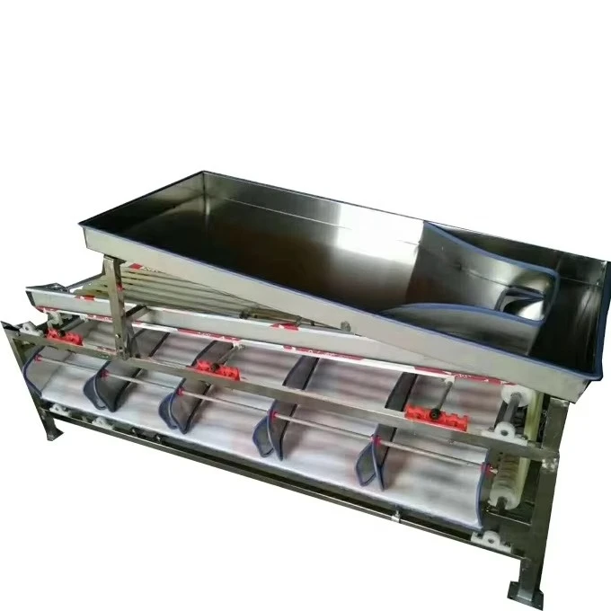 Stainless Steel Mango Shaddock Grader Device Kiwi Blueberry Sorting Processing Machine Fruit Size Separator Machine
Stainless Steel Mango Shaddock Grader Device Kiwi Blueberry Sorting Processing Machine Fruit Size Separator Machine