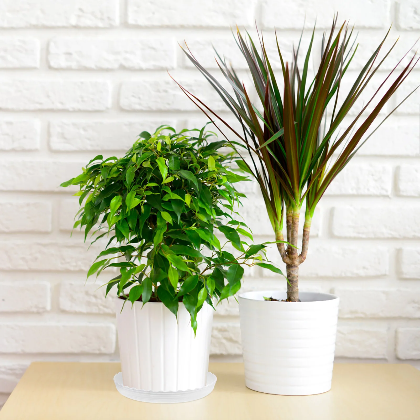 25 Pcs Flowerpot Tray White Plastic Plant Pot Water Trays 140 220mm Sizes Gardening Bonsai Base
25 Pcs Flowerpot Tray White Plastic Plant Pot Water Trays 140 220mm Sizes Gardening Bonsai Base