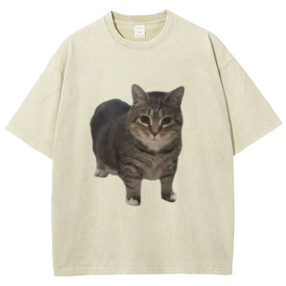 Women Men Funny oiia Cat 3D Print Women Casual Oversized T-Shirt Harajuku T Shirts Girl Y2k Casual Fashion Clothes Short Sleeve
Women Men Funny oiia Cat 3D Print Women Casual Oversized T-Shirt Harajuku T Shirts Girl Y2k Casual Fashion Clothes Short Sleeve