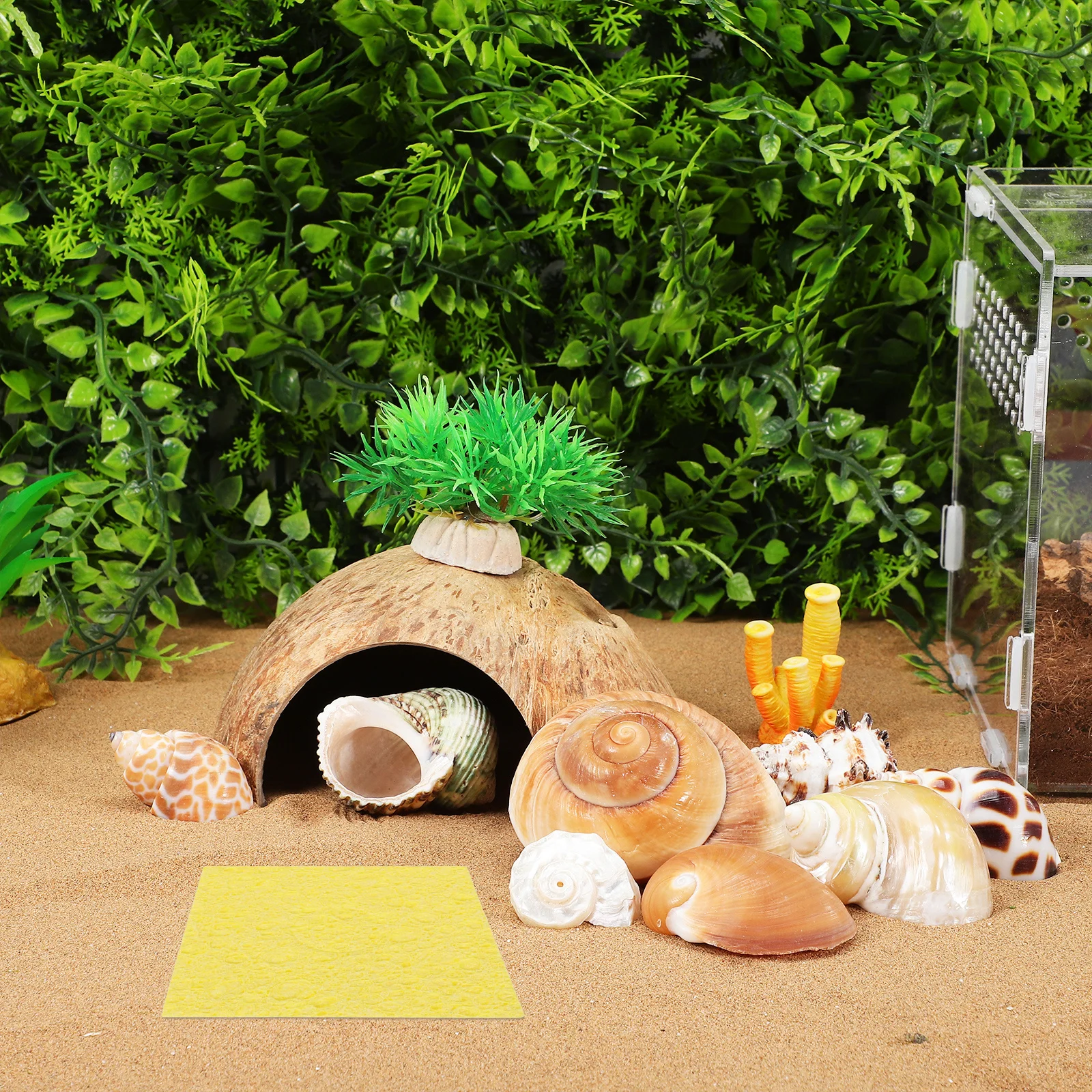 20Pcs Hermit Crab Sea Sponge 2.3inch Natural Unbleached for Tank Water Dish Reptile Humidity Sponge Supplies Pet Crab Supplies
20Pcs Hermit Crab Sea Sponge 2.3inch Natural Unbleached for Tank Water Dish Reptile Humidity Sponge Supplies Pet Crab Supplies