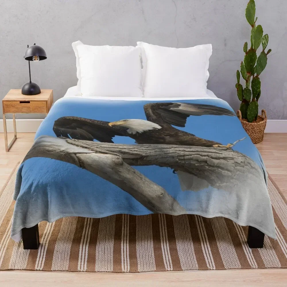 Eagle Taking off from Branch Throw Blanket Warm Blankets For Sofas Summer Blankets
Eagle Taking off from Branch Throw Blanket Warm Blankets For Sofas Summer Blankets