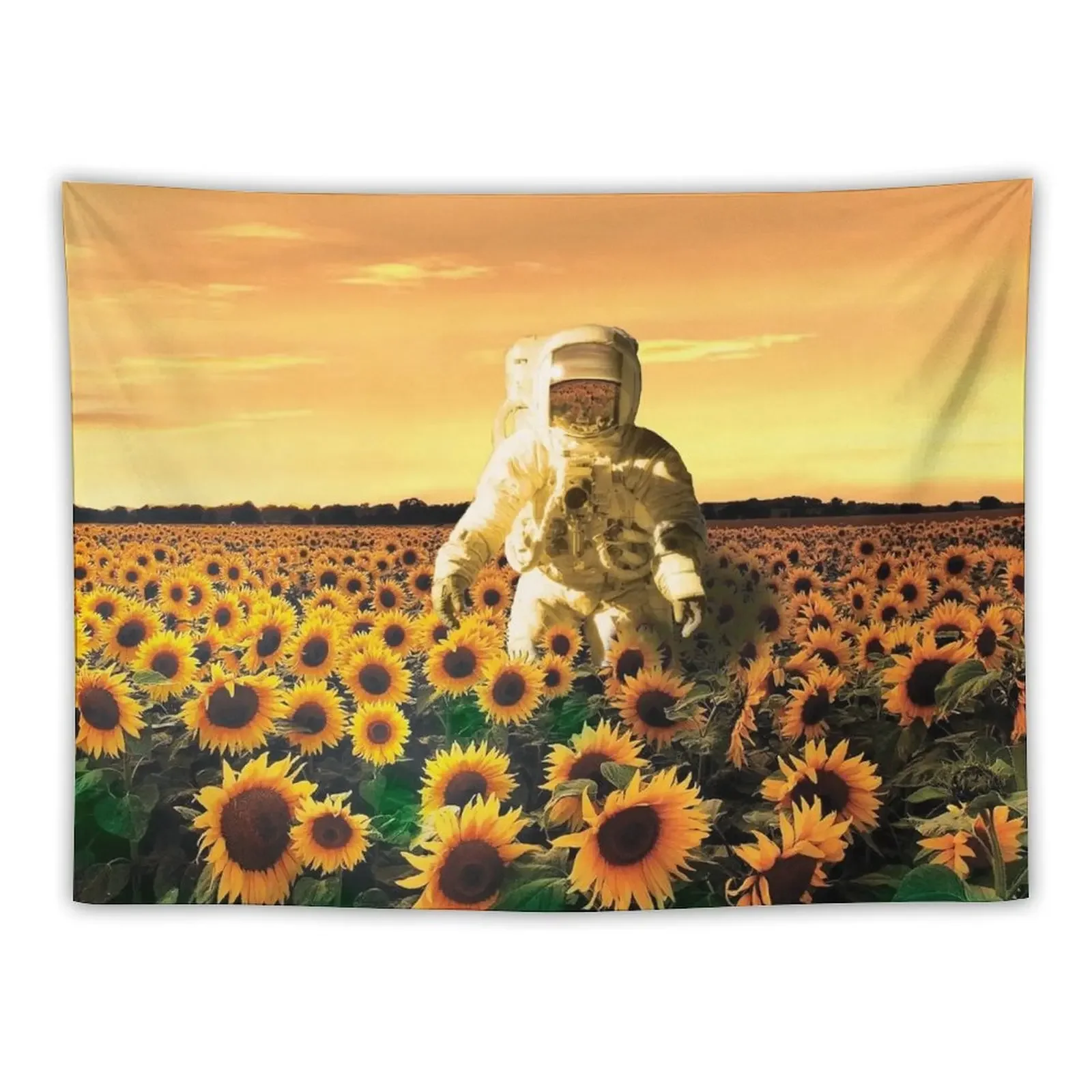 The Sunflower Galaxy, Messier 63 Tapestry Decoration For Rooms Decoration Aesthetic Tapestry
The Sunflower Galaxy, Messier 63 Tapestry Decoration For Rooms Decoration Aesthetic Tapestry